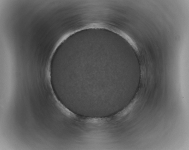 X0000112210950200908071451