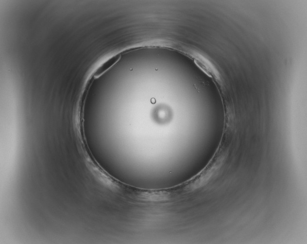 X0000112210952200908071451