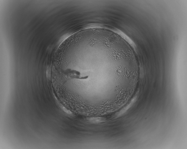 X0000112210953200908071451