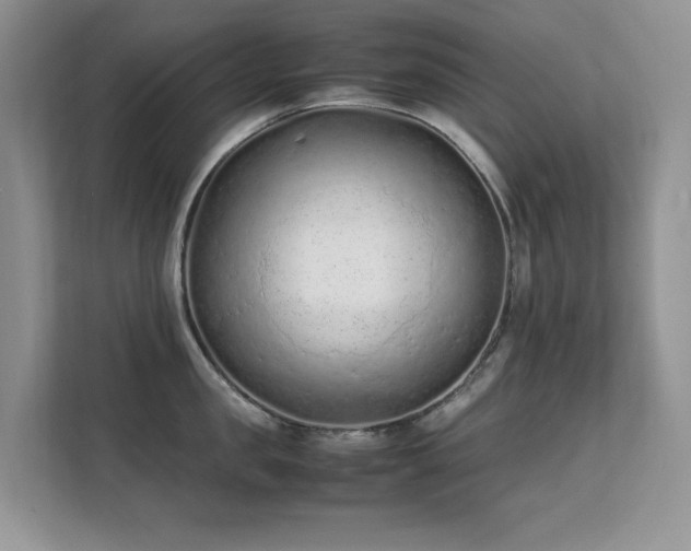 X0000112210957200908071451
