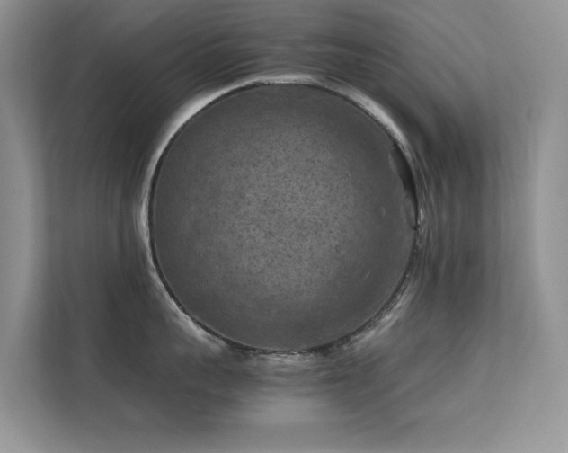 X0000112210959200908071451