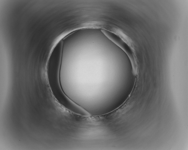 X0000112210960200908071451