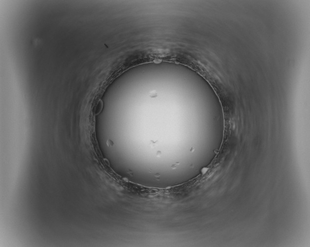 X0000112210961200908071451