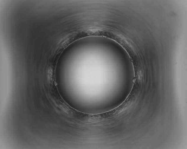 X0000112210964200908071451