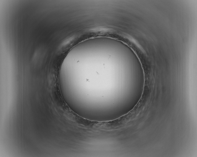 X0000112210967200908071451