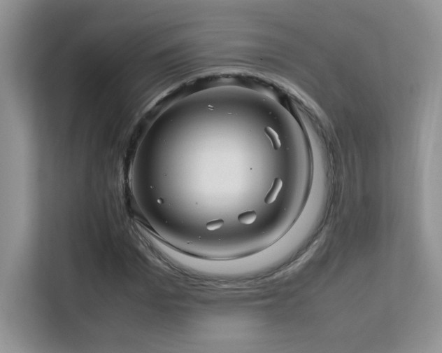 X0000112210969200908071451