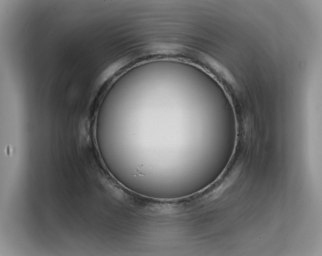 X0000112210970200908071451