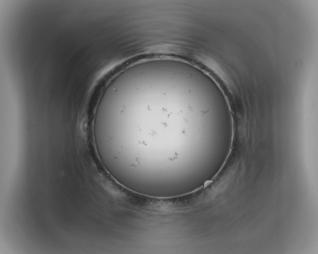 X0000112210971200908071451