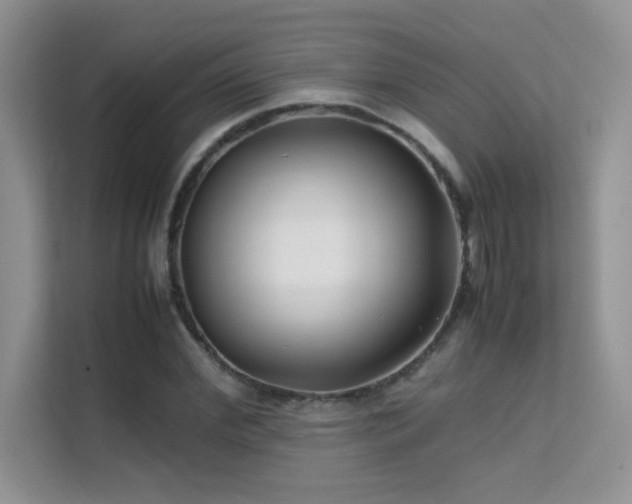 X0000112210972200908071451