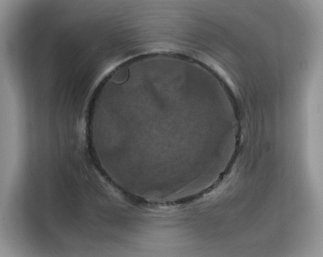 X0000112210975200908071451