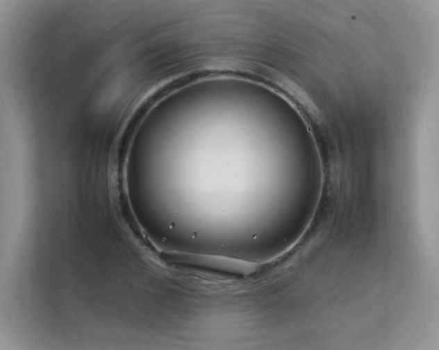 X0000112210976200908071451
