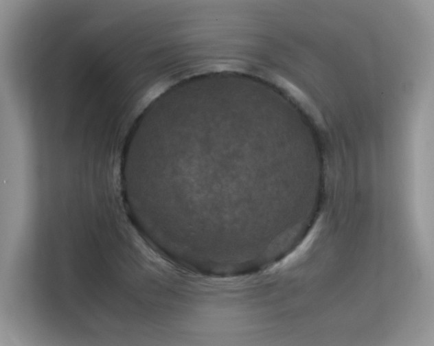X0000112210977200908071450