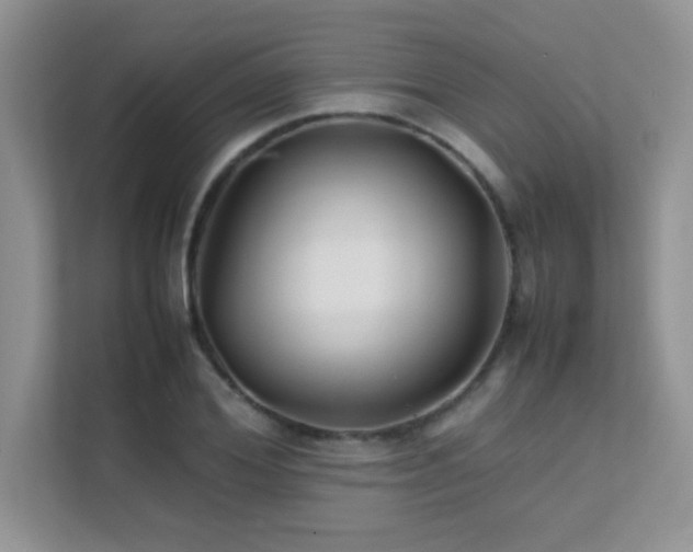 X0000112210980200908071450