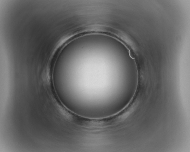 X0000112210981200908071450