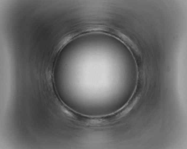 X0000112210985200908071450