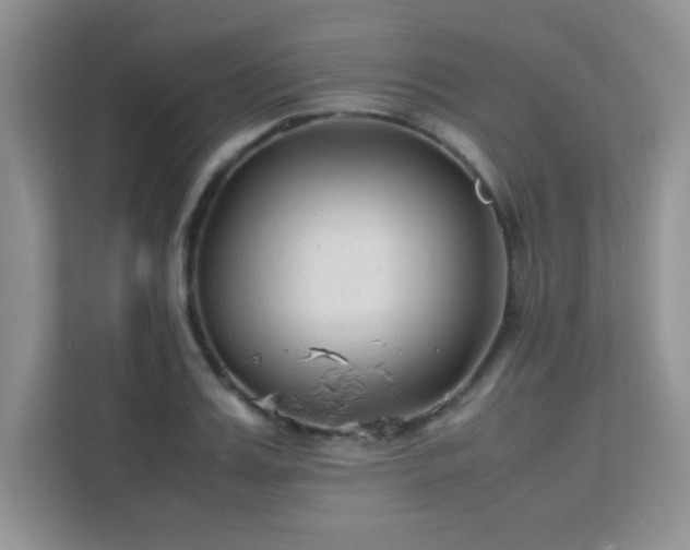 X0000112210987200908071450