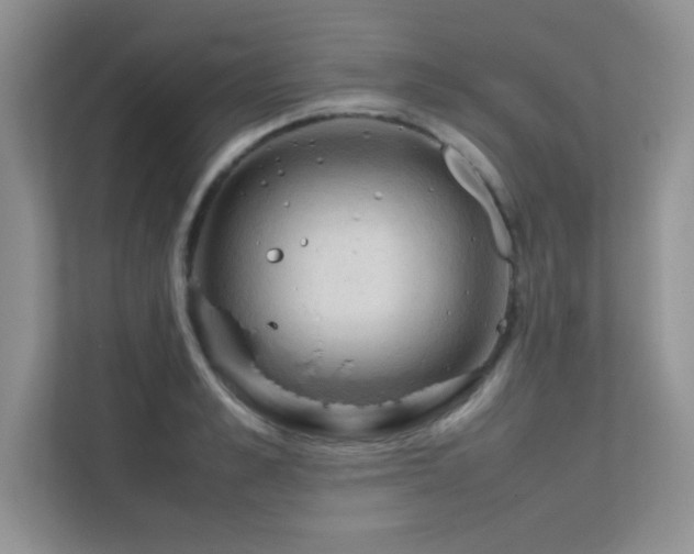 X0000112210989200908071450