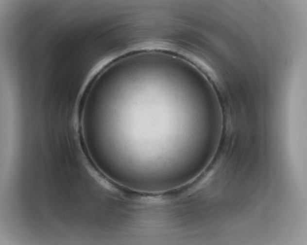 X0000112210990200908071450