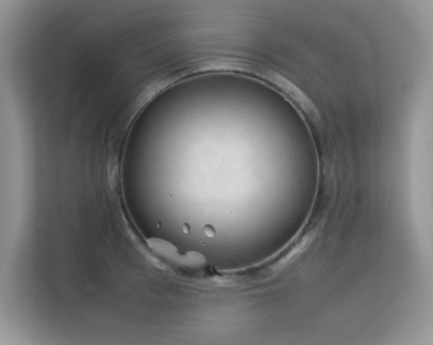 X0000112210993200908071450