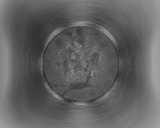 X0000112210994200908071450