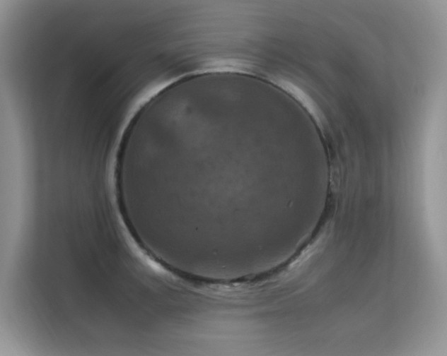 X0000112210995200908071450