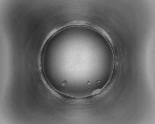 X0000112210997200908071450