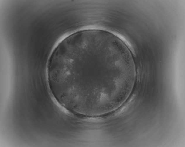 X0000112210998200908071450