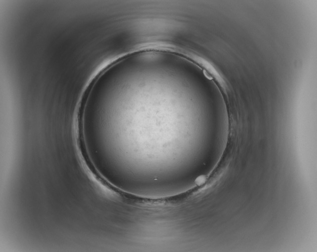 X0000112210999200908071450