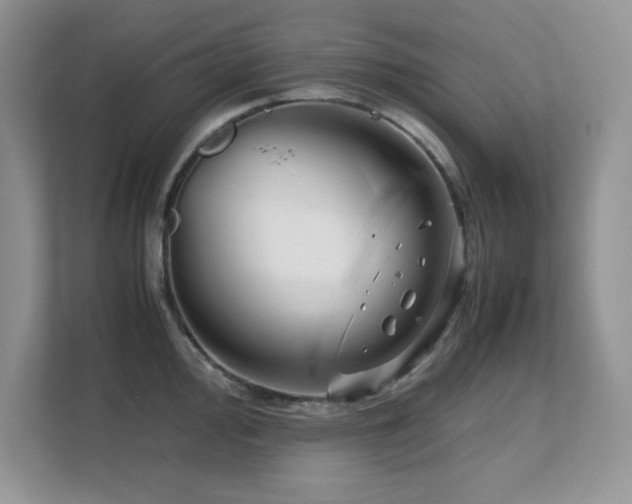 X0000112211000200908071450