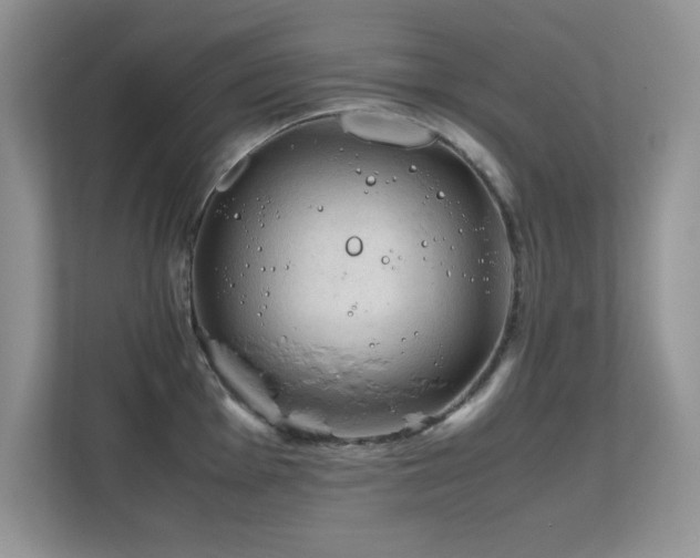 X0000112211001200908071450