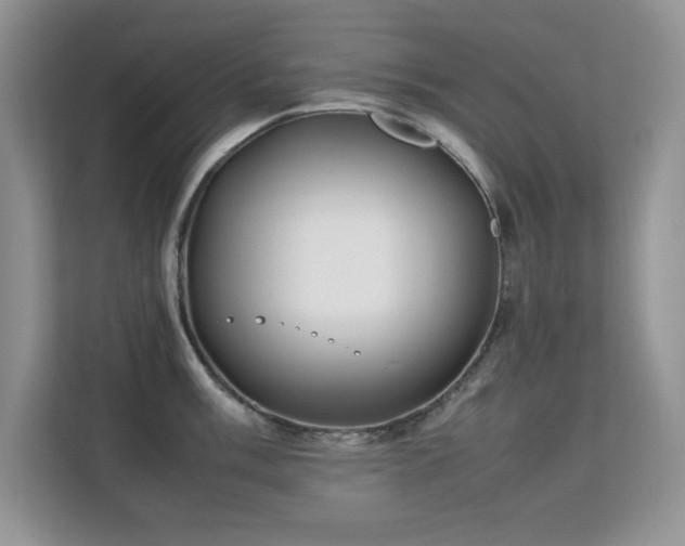 X0000112211003200908071450