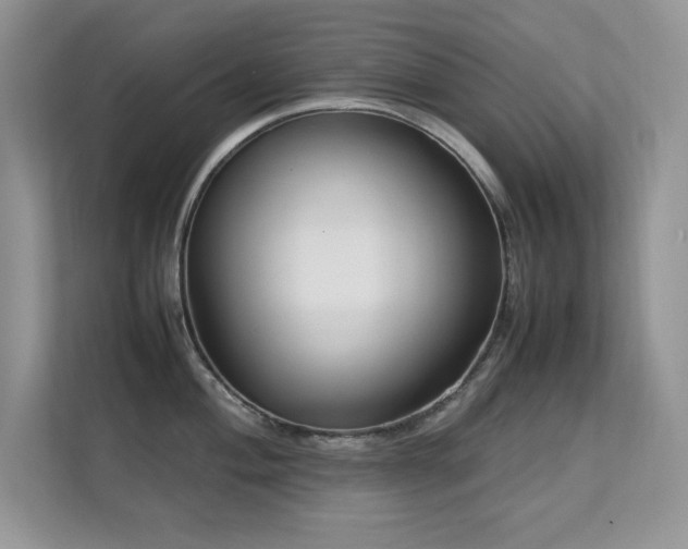 X0000112211004200908071450