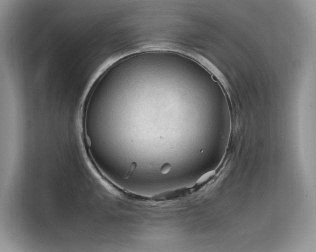 X0000112211005200908071450
