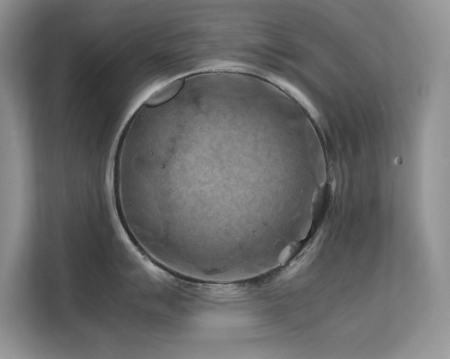 X0000112211007200908071450