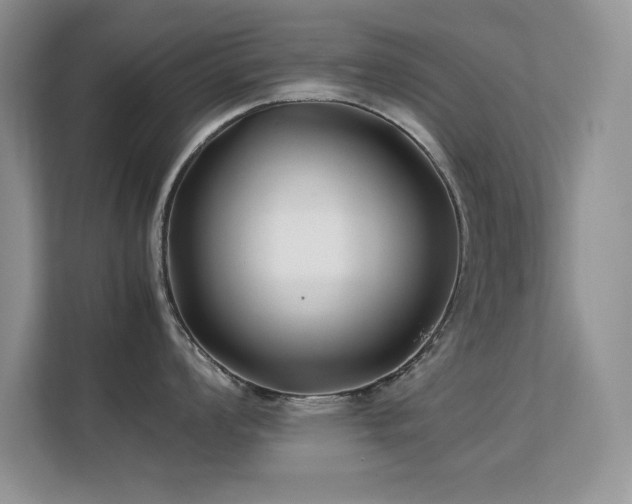 X0000112211008200908071450