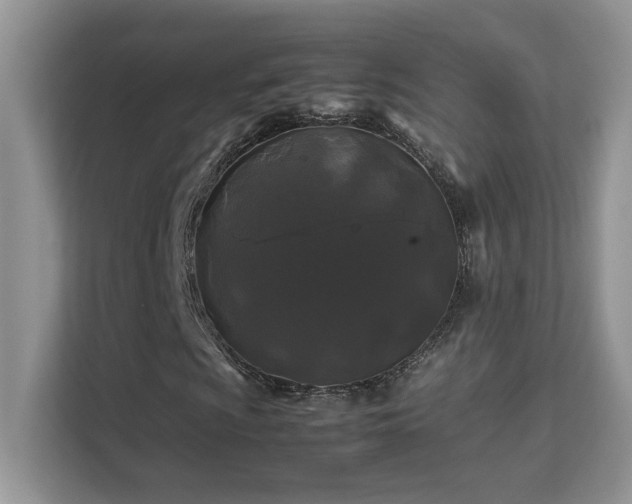 X0000112211009200908071449