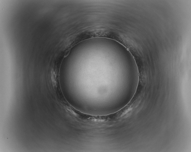 X0000112211010200908071449