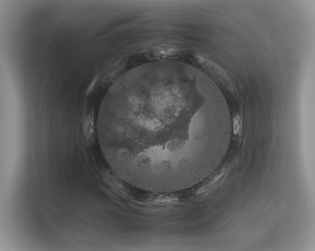 X0000112211011200908071449