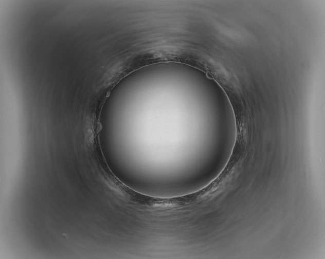 X0000112211012200908071449