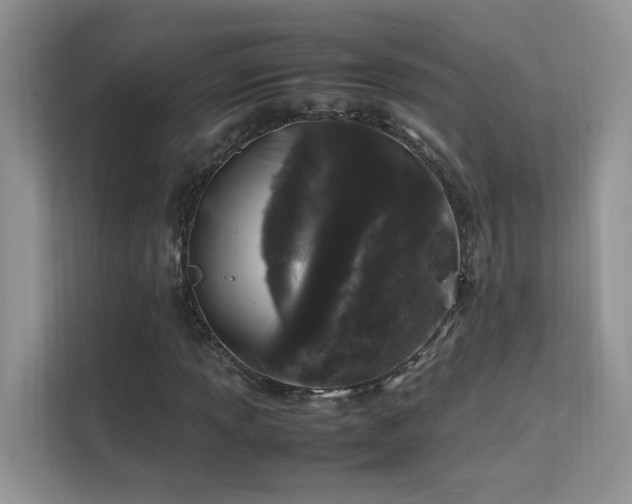 X0000112211013200908071450