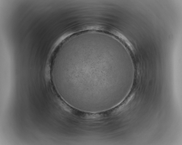X0000112211019200908071450