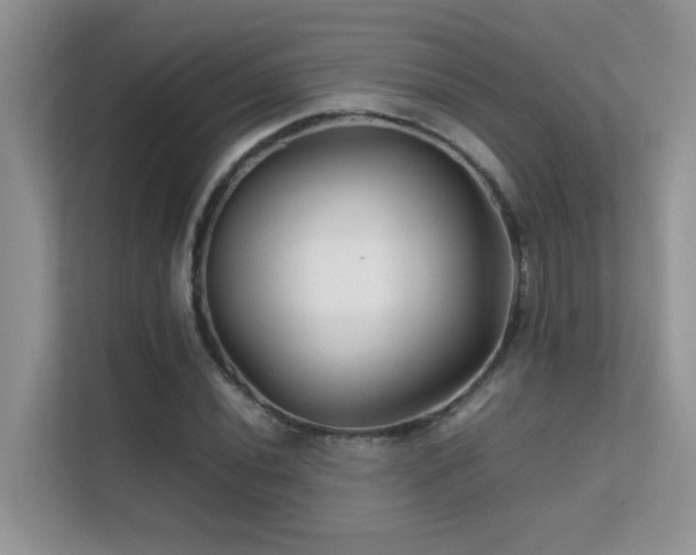 X0000112211020200908071450