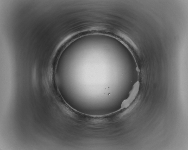 X0000112211021200908071450
