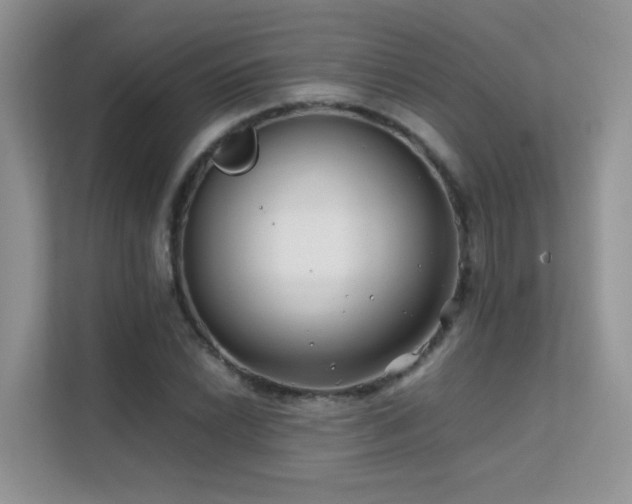 X0000112211022200908071450