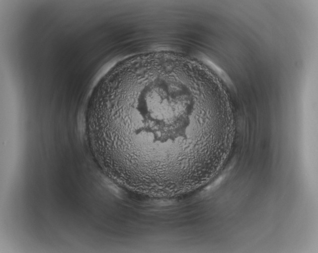 X0000112211023200908071450