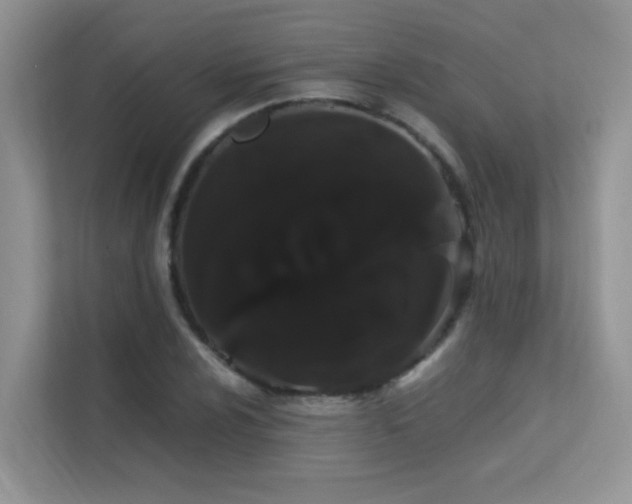 X0000112211024200908071450