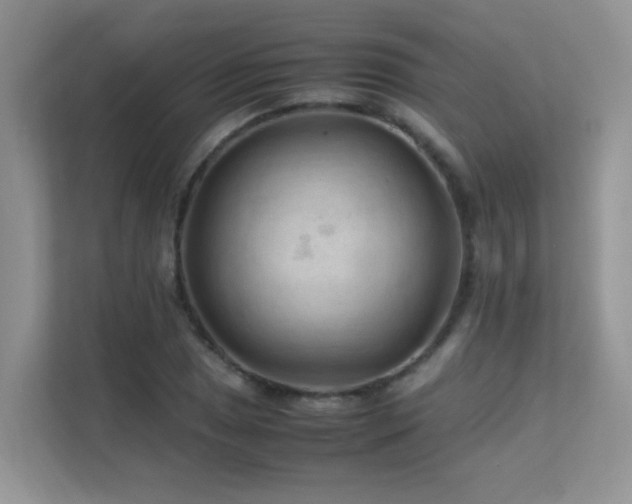 X0000112211025200908071450