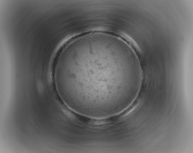 X0000112211027200908071450