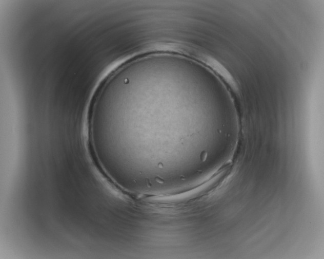 X0000112211028200908071450