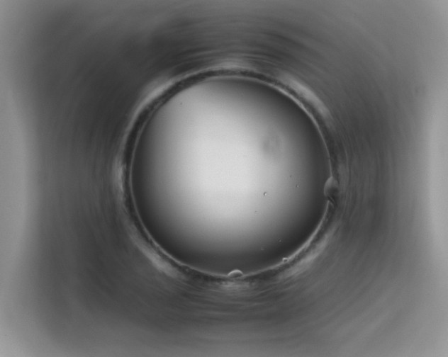 X0000112211029200908071450